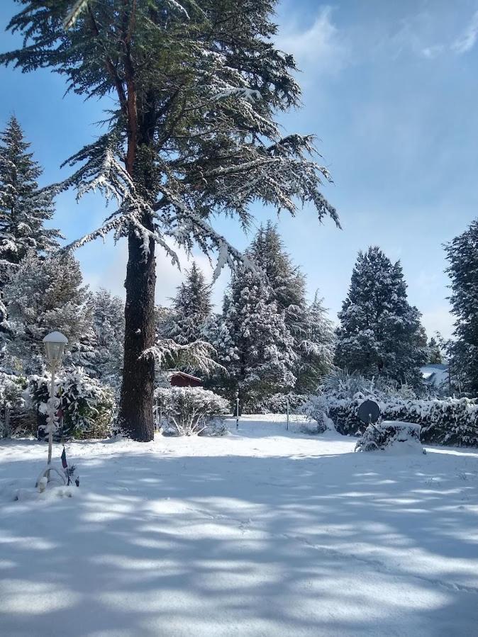 Holiday home En El Bosque